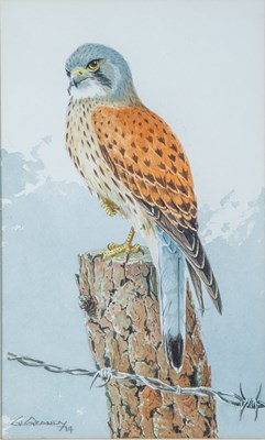 Lot 490 - G. L. Grandy (20th century) Kestrel on a fence...