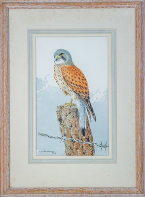 Lot 490 - G. L. Grandy (20th century) Kestrel on a fence...