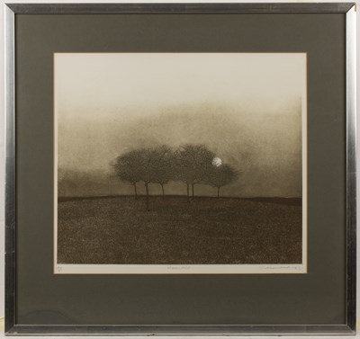Lot 462 - Phil Greenwood (b.1943) Moonmist; and Spring...