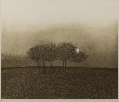 Lot 462 - Phil Greenwood (b.1943) Moonmist; and Spring...