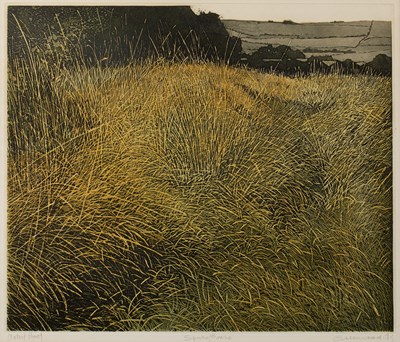 Lot 462 - Phil Greenwood (b.1943) Moonmist; and Spring...
