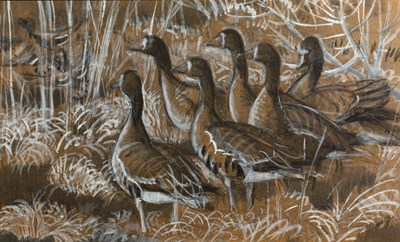 Lot 398 - Charles Frederick Tunnicliffe (1901-1979)...