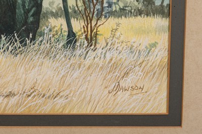 Lot 208 - Jim Dawson (British 1945-)