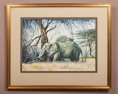 Lot 208 - Jim Dawson (British 1945-)