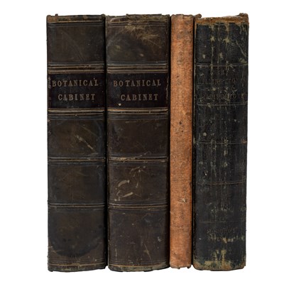 Lot 782 - The Botanical Cabinet Conrad Logdiges & Sons,...