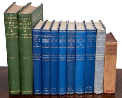 Lot 56 - Eight volumes of Drawings of British Plants by Stella Ross-Craig and other books