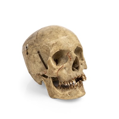 Lot 105 - An antique Human skull articulated for medical...