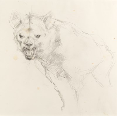 Lot 39 - Michael Ayrton (1921-1975) Study for Hyena...