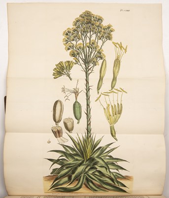 Lot 582 - Miller, Philip, 1691-1771 Scottish Botanist,...