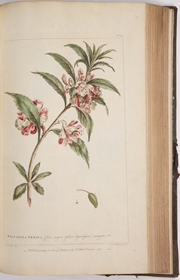 Lot 582 - Miller, Philip, 1691-1771 Scottish Botanist,...