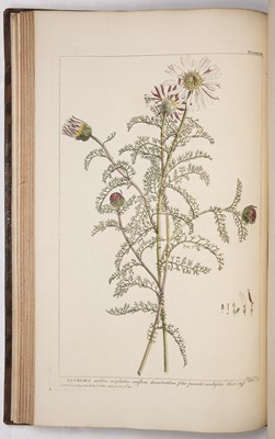 Lot 582 - Miller, Philip, 1691-1771 Scottish Botanist,...