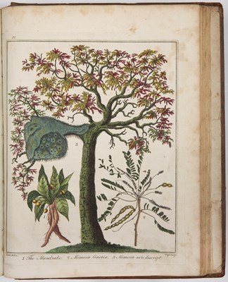 Lot 686 - Sibley, Ebenezer, 1751-1799 Astrologer and...