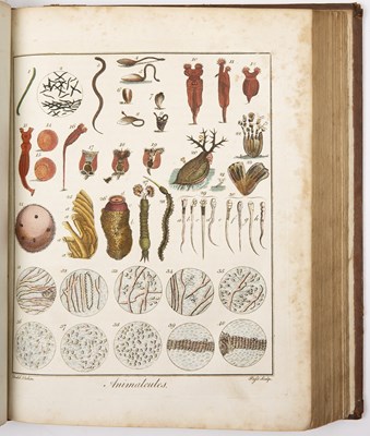 Lot 686 - Sibley, Ebenezer, 1751-1799 Astrologer and...