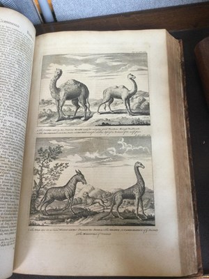 Lot 778 - Antiquarian Folio volumes:- Camden (William)...