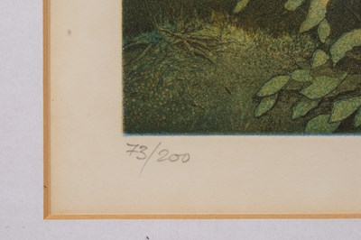 Lot 7 - Two decorative pictures and a print