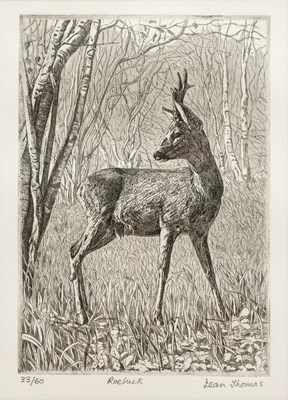 Lot 175 - Jean Thomas (Contemporary) 'Roebuck', etching,...