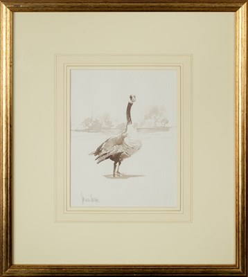 Lot 56 - Spencer Hodge (b.1943) Canadian Goose, and a...