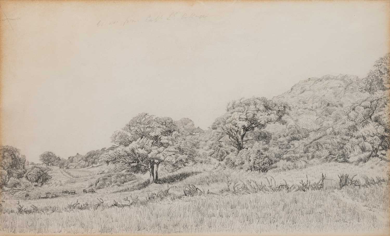 Lot 193 - Elizabeth Anna Lucas (b.1840-) Wooded field...