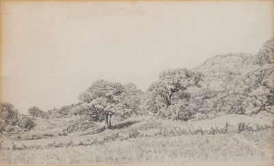 Lot 193 - Elizabeth Anna Lucas (b.1840-) Wooded field...