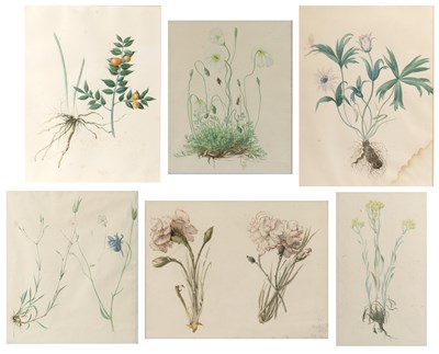 Lot 145 - Collection of six botanical still life...