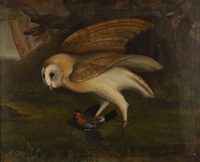 Lot 346 - 18th century Continental school A barn owl...