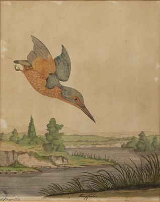 Lot 45 - 18th century English school 'Kingfisher',...