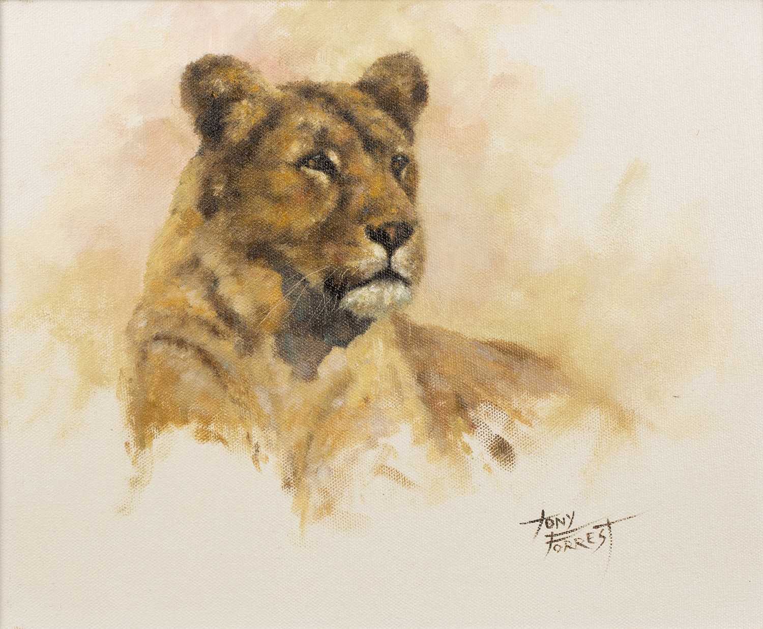 Lot 96 - Tony Forrest (b. 1961) A lioness and a tiger,...