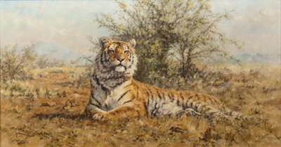 Lot 98 - Tony Forrest (b. 1961) A tiger resting, signed...