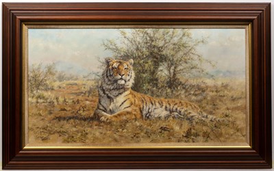 Lot 98 - Tony Forrest (b. 1961) A tiger resting, signed...