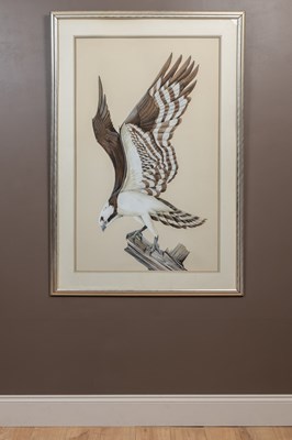 Lot 113 - Art Lamay, 20th century American School, An osprey on perched on a stump