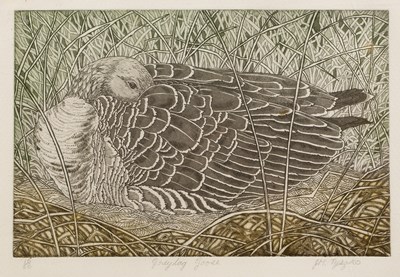 Lot 155 - 20th Century School 'Greylag goose', etching...