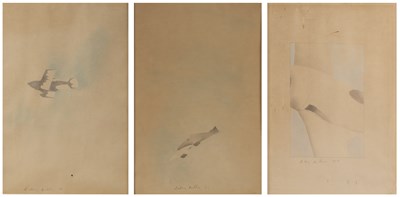 Lot 208 - 20th Century School 'Three studies of...