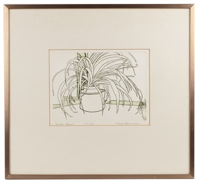 Lot 48 - John Brunsdon (1933-2014) Spider plants,...