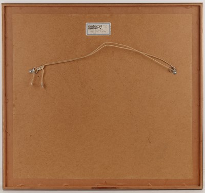 Lot 48 - John Brunsdon (1933-2014) Spider plants,...