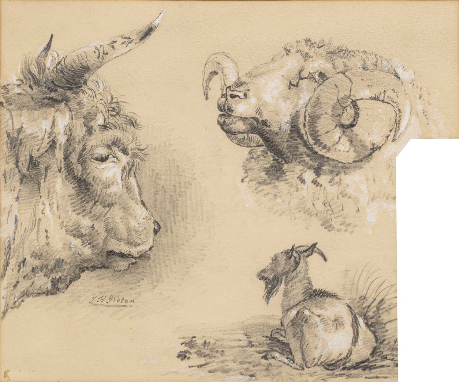 Lot 49 - T*H* Gibson Bull, ram and goat study, signed,...