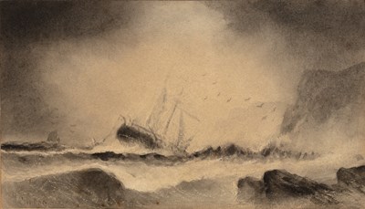 Lot 264 - Henry Barlow Carter (1803-1867) A rescue off...
