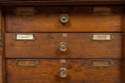 Lot 498 - An oak fossil specimen cabinet