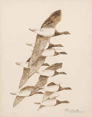 Lot 449 - Peter Scott (1909-1989) 'Brent Geese', signed...