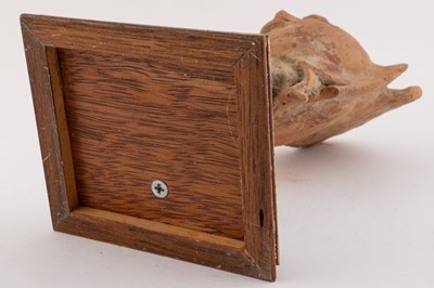Lot 133 - An ancient Indian terracotta head 10cm wide...