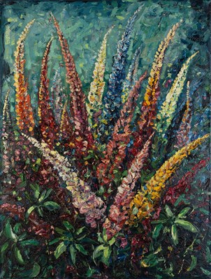 Lot 206 - Lupins