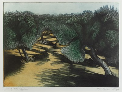 Lot 42 - Morna Rhys (Contemporary) Olive Groves, Cyprus...