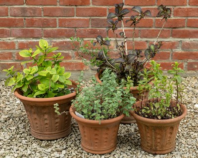 Lot 1293 - Two pairs of Whichford pots