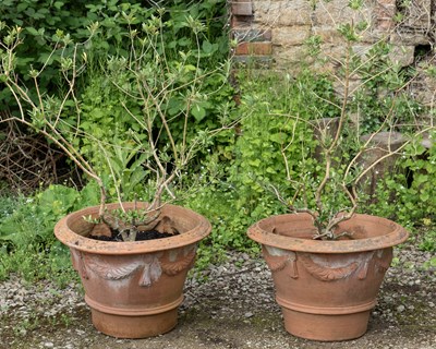 Lot 1336 - A pair of large Whichford pottery pots