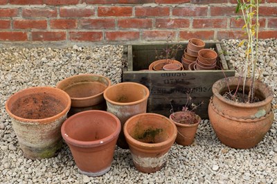 Lot 1308 - A small group of various terracotta flower pots