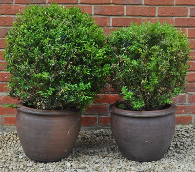 Lot 1350 - A pair of stoneware planters