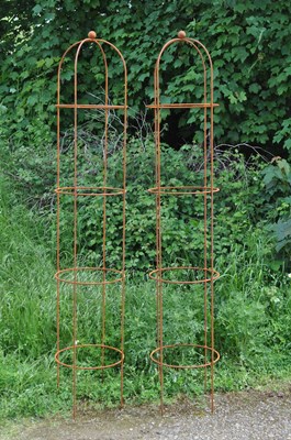 Lot 1334 - A pair of wrought iron plant supports