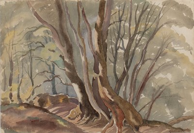 Lot 364 - Ethelbert White (1891-1972) A beech grove,...