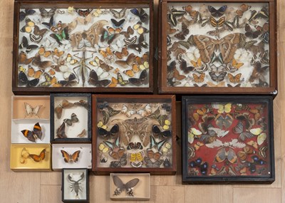 Lot 472 - A large collection of late 19th or early 20th century preserved exotic butterflies