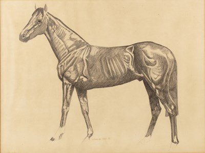 Lot 444 - Graeme Sims (20th century) Horse study, signed...