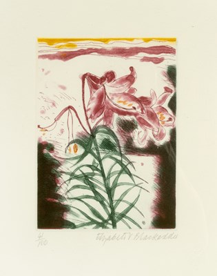 Lot 99 - Elizabeth Blackadder (b. 1937) The Lily,...